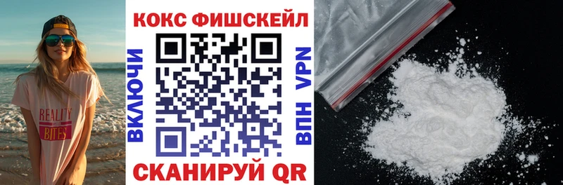 Кокаин Fish Scale  Купить закладки  Заречный 