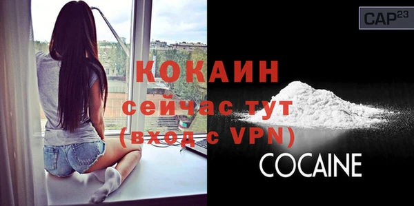 первитин Каменка