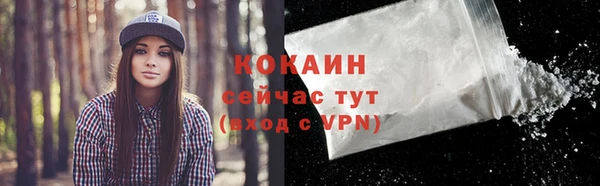первитин Каменка