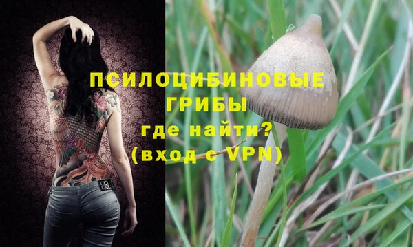 дживик Каменск-Шахтинский
