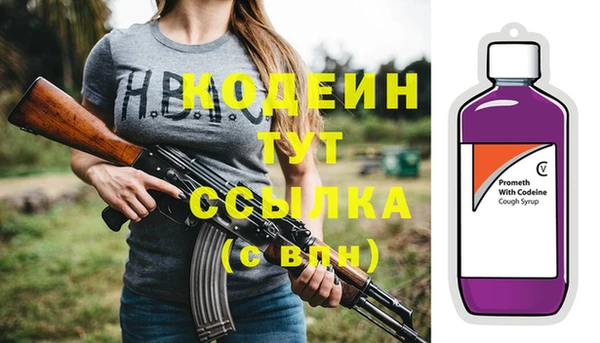 первитин Каменка