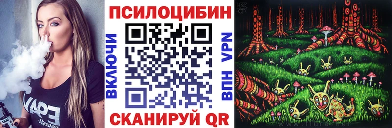 Галлюциногенные грибы Psilocybe  Купить  Заречный 